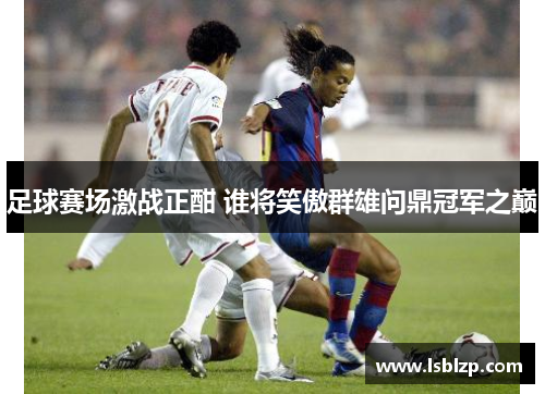 足球赛场激战正酣 谁将笑傲群雄问鼎冠军之巅