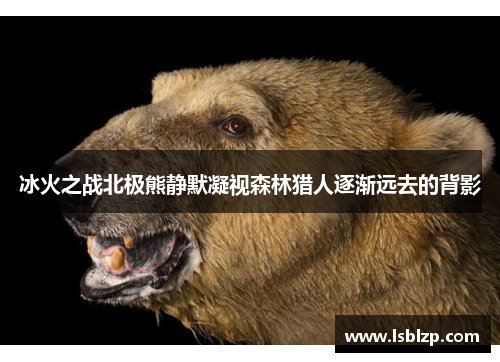 冰火之战北极熊静默凝视森林猎人逐渐远去的背影