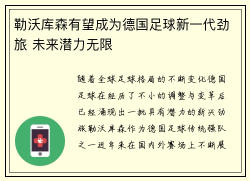 勒沃库森有望成为德国足球新一代劲旅 未来潜力无限