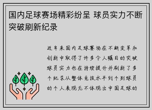 国内足球赛场精彩纷呈 球员实力不断突破刷新纪录