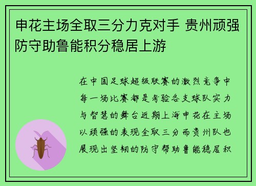 申花主场全取三分力克对手 贵州顽强防守助鲁能积分稳居上游