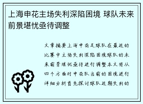 上海申花主场失利深陷困境 球队未来前景堪忧亟待调整