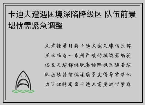 卡迪夫遭遇困境深陷降级区 队伍前景堪忧需紧急调整