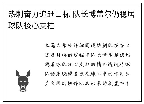 热刺奋力追赶目标 队长博盖尔仍稳居球队核心支柱